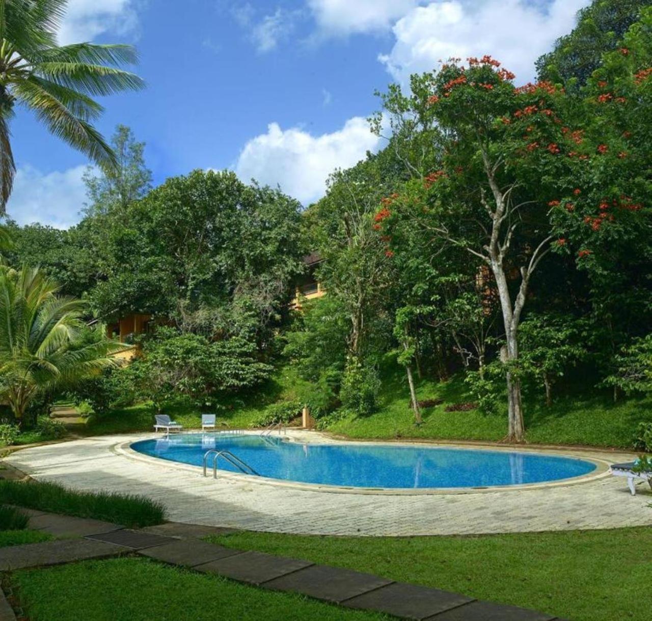 Abad Green Forest Thekkady Hotel Kumily Kültér fotó