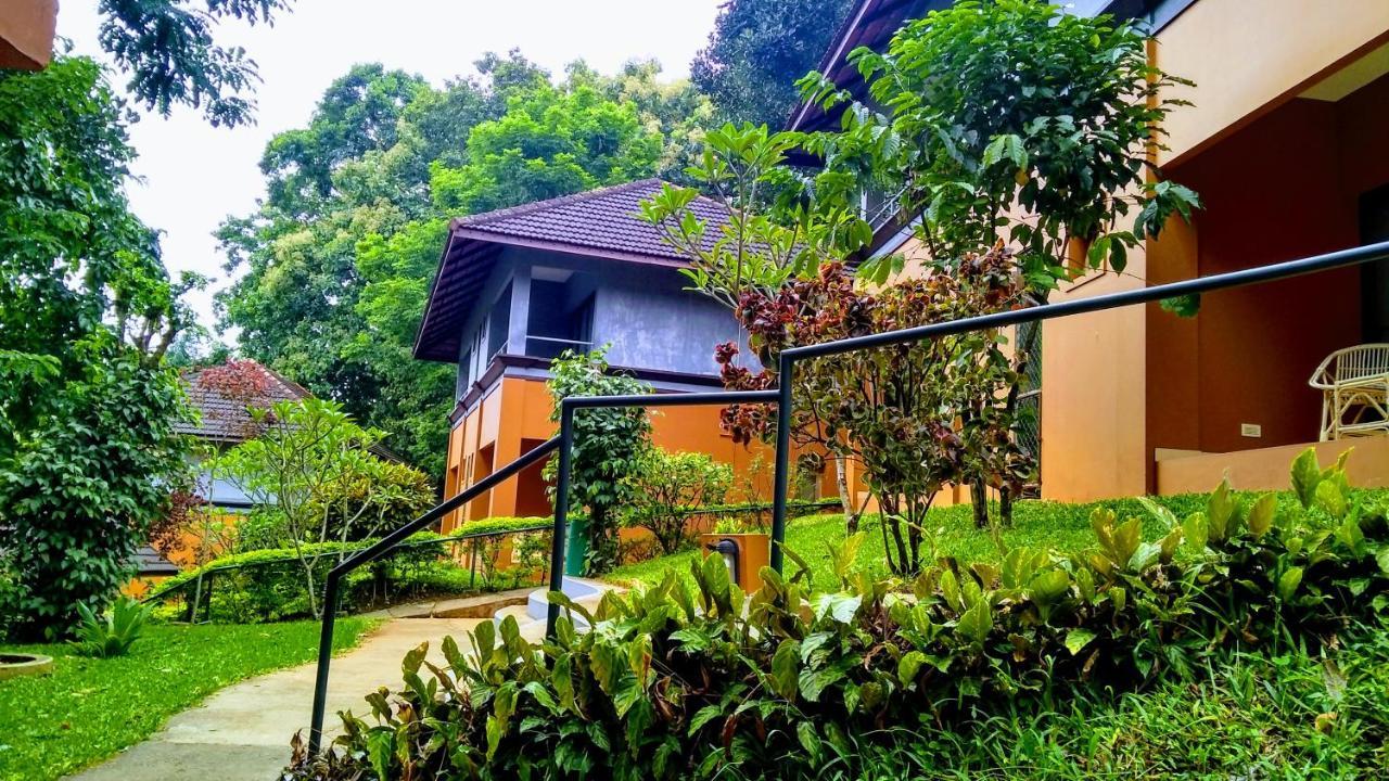 Abad Green Forest Thekkady Hotel Kumily Kültér fotó